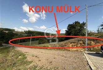 Kocaeli ili, İzmit ilçesi, Biberoğlu Mahallesi'nde, kadastral yola cepheli %5 Diğer Tarım Alanı imarlı (Maks 250 m2 ev yapılabilir) arazi.