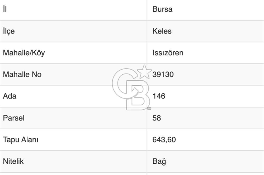 Bursa Keles'te 643 m2 Resmi Yola Cepheli Bağ