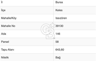 Bursa Keles'te 643 m2 Resmi Yola Cepheli Bağ