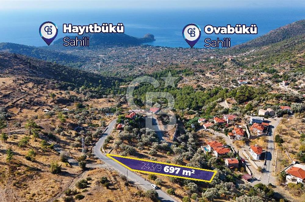 Mesudiye'de Çok İyi Konumda Deniz Manzaralı Satılık Zeytinlikler