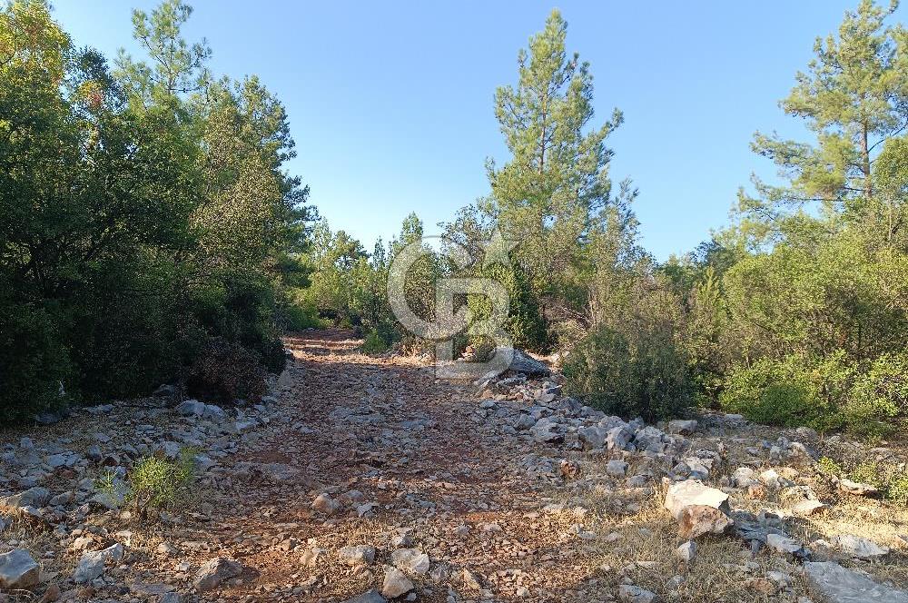 MUĞLA MENTEŞE ÇIRPI MAH.SATILIK TARLA