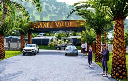 SAKLI VADİ 355