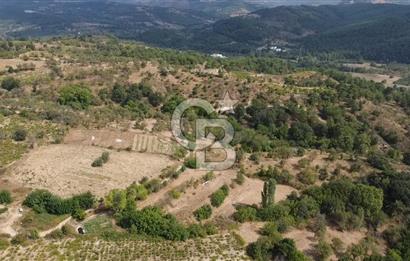 BAYRAMİÇ GEDİK KÖYÜ SATILIK TARLA!