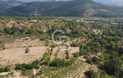 BAYRAMİÇ GEDİK KÖYÜ SATILIK TARLA!