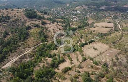 BAYRAMİÇ GEDİK KÖYÜ SATILIK TARLA!