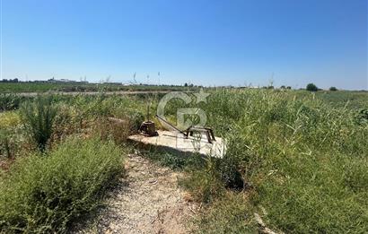 İzmir Menemen Seyrek'te Üniversiteye 700m Satılık Tarla