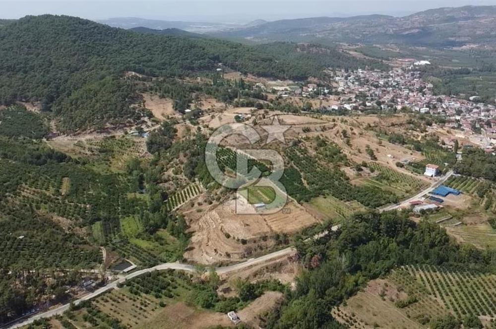 ÇANAKKALE'NİN OKSİJEN CENNETİ BAYRAMİÇ'TE SATILIK BAHÇE