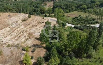 ÇANAKKALE'NİN OKSİJEN CENNETİ BAYRAMİÇ'TE SATILIK BAHÇE