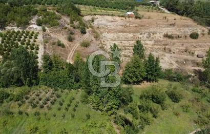 ÇANAKKALE'NİN OKSİJEN CENNETİ BAYRAMİÇ'TE SATILIK BAHÇE