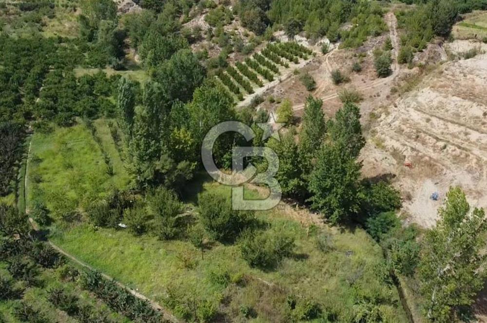 ÇANAKKALE'NİN OKSİJEN CENNETİ BAYRAMİÇ'TE SATILIK BAHÇE