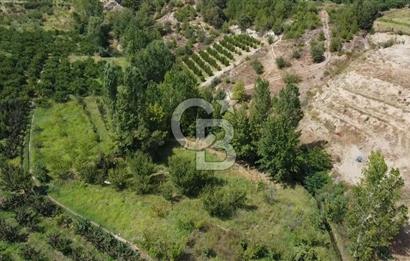 ÇANAKKALE'NİN OKSİJEN CENNETİ BAYRAMİÇ'TE SATILIK BAHÇE