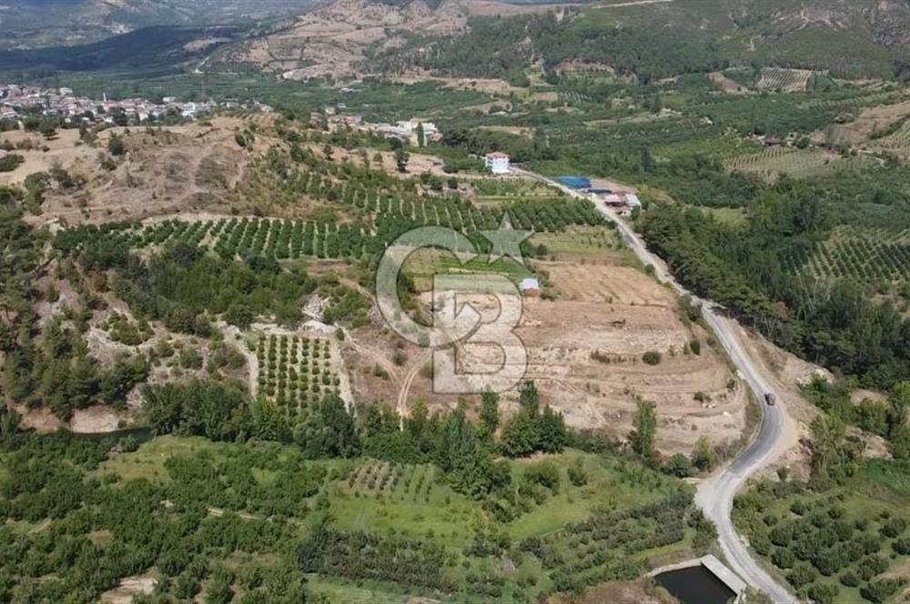 ÇANAKKALE'NİN OKSİJEN CENNETİ BAYRAMİÇ'TE SATILIK BAHÇE