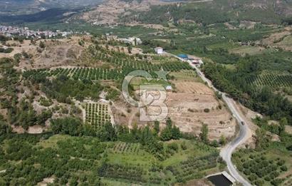 ÇANAKKALE'NİN OKSİJEN CENNETİ BAYRAMİÇ'TE SATILIK BAHÇE