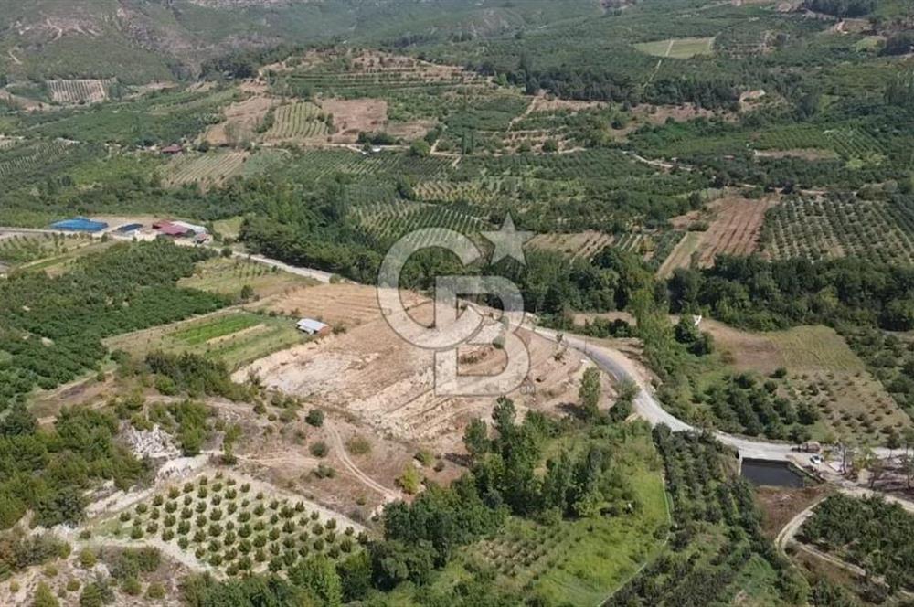 ÇANAKKALE'NİN OKSİJEN CENNETİ BAYRAMİÇ'TE SATILIK BAHÇE