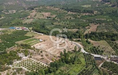 ÇANAKKALE'NİN OKSİJEN CENNETİ BAYRAMİÇ'TE SATILIK BAHÇE