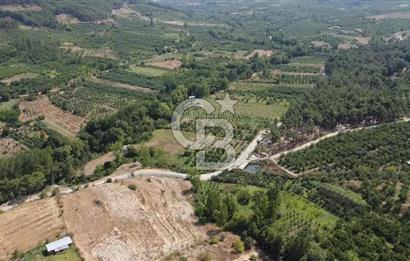 ÇANAKKALE'NİN OKSİJEN CENNETİ BAYRAMİÇ'TE SATILIK BAHÇE