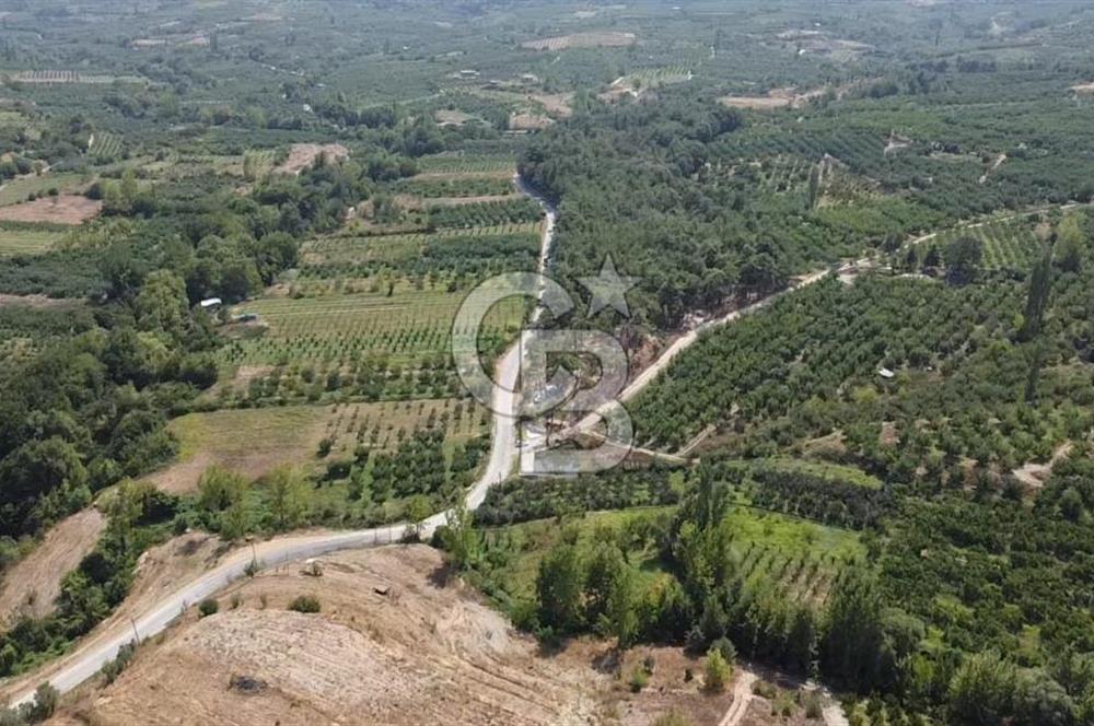 ÇANAKKALE'NİN OKSİJEN CENNETİ BAYRAMİÇ'TE SATILIK BAHÇE