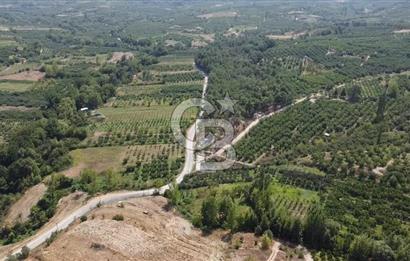 ÇANAKKALE'NİN OKSİJEN CENNETİ BAYRAMİÇ'TE SATILIK BAHÇE