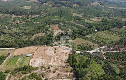 ÇANAKKALE'NİN OKSİJEN CENNETİ BAYRAMİÇ'TE SATILIK BAHÇE