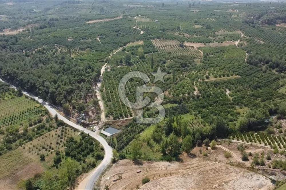 ÇANAKKALE'NİN OKSİJEN CENNETİ BAYRAMİÇ'TE SATILIK BAHÇE