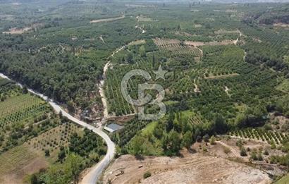 ÇANAKKALE'NİN OKSİJEN CENNETİ BAYRAMİÇ'TE SATILIK BAHÇE