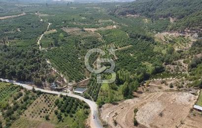 ÇANAKKALE'NİN OKSİJEN CENNETİ BAYRAMİÇ'TE SATILIK BAHÇE