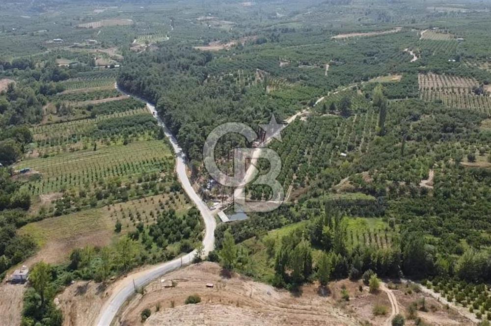 ÇANAKKALE'NİN OKSİJEN CENNETİ BAYRAMİÇ'TE SATILIK BAHÇE