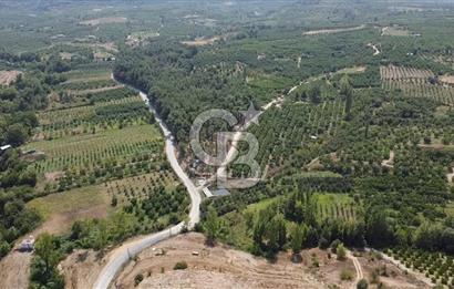 ÇANAKKALE'NİN OKSİJEN CENNETİ BAYRAMİÇ'TE SATILIK BAHÇE