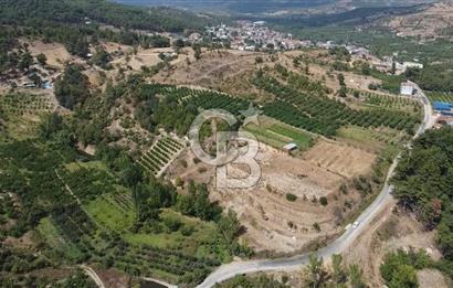 ÇANAKKALE'NİN OKSİJEN CENNETİ BAYRAMİÇ'TE SATILIK BAHÇE