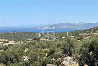 İzmir Dikili'de Deniz manzaralı Hisseli Tarla