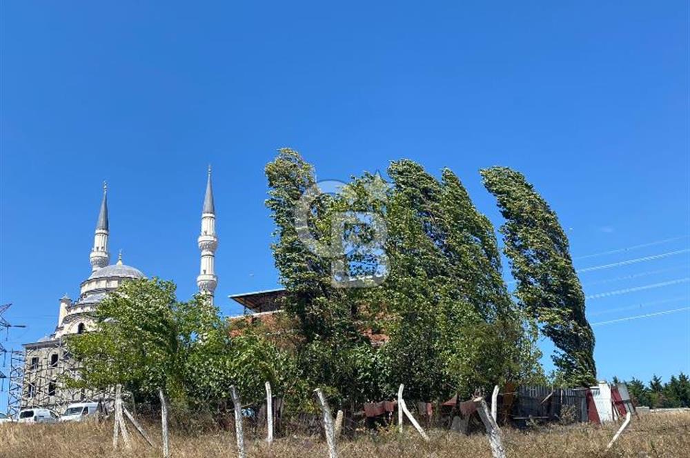 TAŞOLUKTA SATILIK İMARLI İFRASLI 150 M2 ARSA