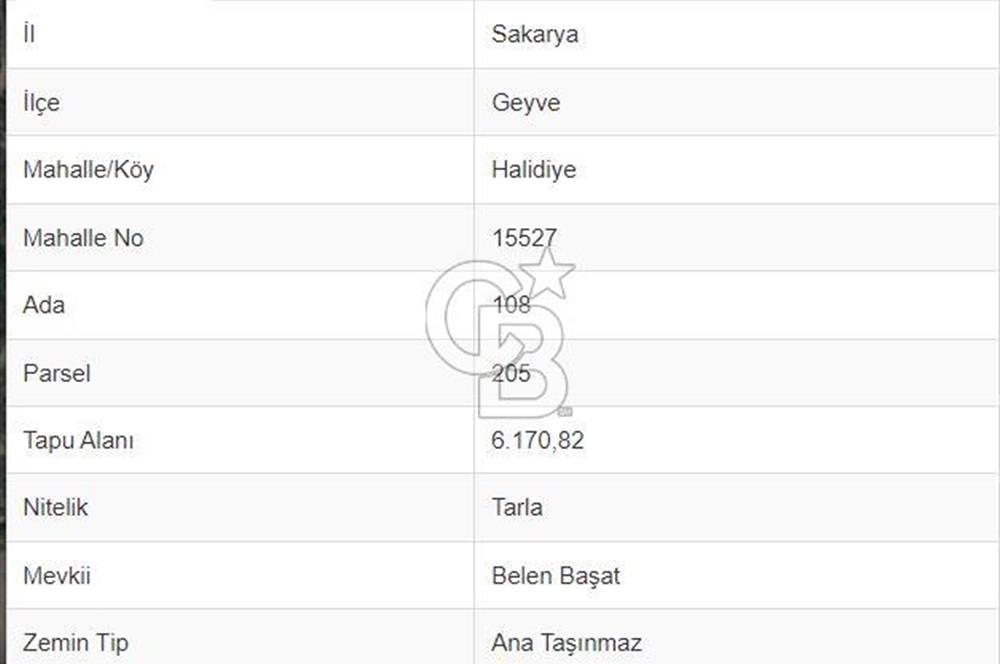 Sakarya Geyve Halidiye Köyü Satılık 6.170 m2 Tarla