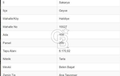 Sakarya Geyve Halidiye Köyü Satılık 6.170 m2 Tarla