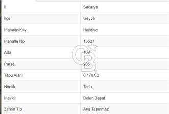 Sakarya Geyve Halidiye Köyü Satılık 6.170 m2 Tarla