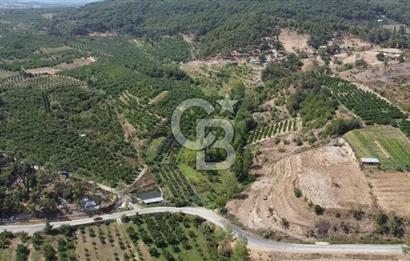 ÇANAKKALE'NİN OKSİJEN CENNETİ BAYRAMİÇ'TE SATILIK BAHÇE