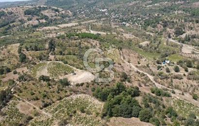 ÇANAKKALE BAYRAMİÇ GEDİK KÖYÜ'N DE MUHTEŞEM SATILIK BAĞ