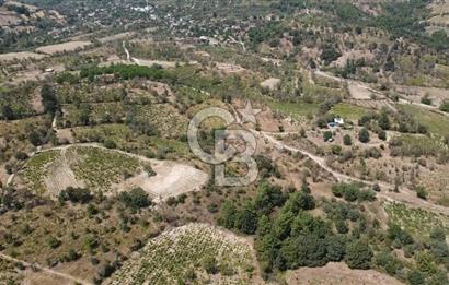 ÇANAKKALE BAYRAMİÇ GEDİK KÖYÜ'N DE MUHTEŞEM SATILIK BAĞ