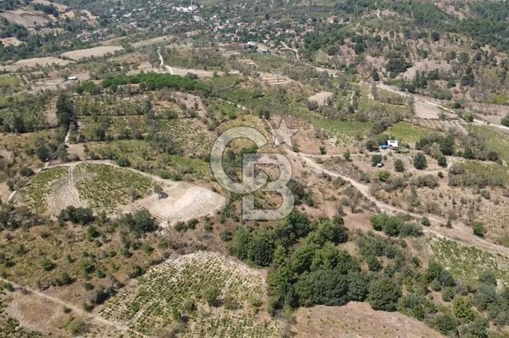 ÇANAKKALE BAYRAMİÇ GEDİK KÖYÜ'N DE MUHTEŞEM SATILIK BAĞ