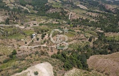 ÇANAKKALE BAYRAMİÇ GEDİK KÖYÜ'N DE MUHTEŞEM SATILIK BAĞ