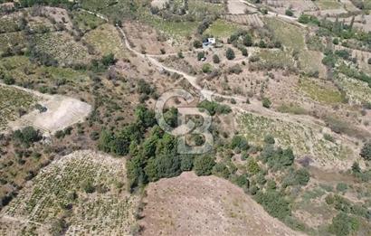 ÇANAKKALE BAYRAMİÇ GEDİK KÖYÜ'N DE MUHTEŞEM SATILIK BAĞ