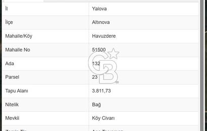 YALOVA ALTINOVA'DA 2 BİTİŞİK PARSELDEN OLUŞAN TARLA