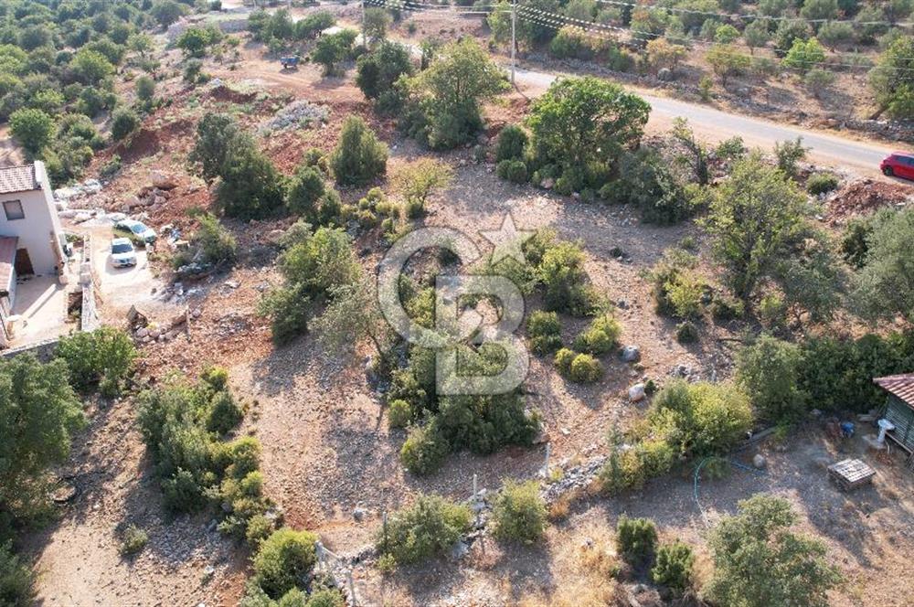 ANTALYA KAŞ ÇUKURBAĞ SATILIK ANA YOL KENARI MÜSTAKİL PARSEL