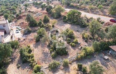 ANTALYA KAŞ ÇUKURBAĞ SATILIK ANA YOL KENARI MÜSTAKİL PARSEL