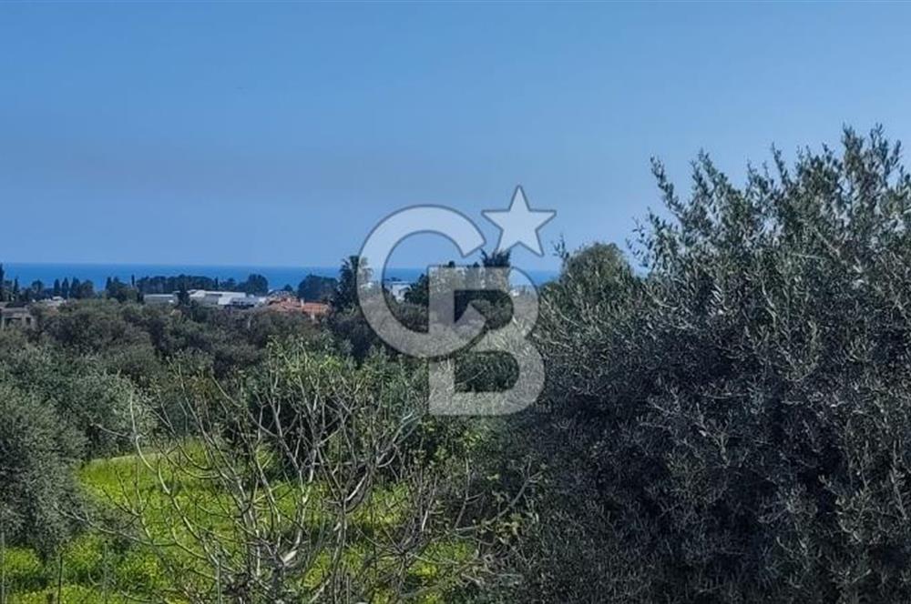 3+1 Rental Villa with Private Pool and Spacious Living Area in Bellapais, Kyrenia, Cyprus