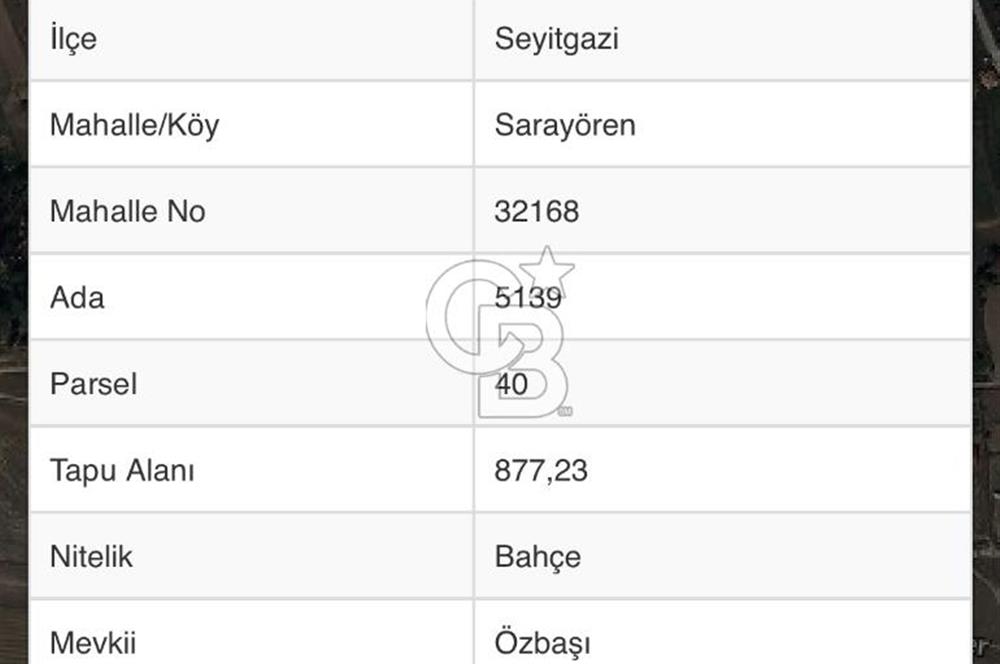 CB CITY'DEN SEYİTGAZİ SARAYÖREN KÖYÜNDE SATILIK BAHÇE