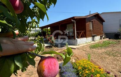 Seferihisar Kavakdere'de Yaşam Bahçesi ve Ahşap Ev