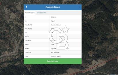 Balıkkesir Bigadiç Müstakil Tapu Satılık Tarla
