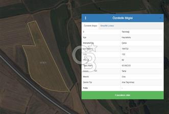 Tekirdağ Hayrabolu 43 Dönüm Arsa