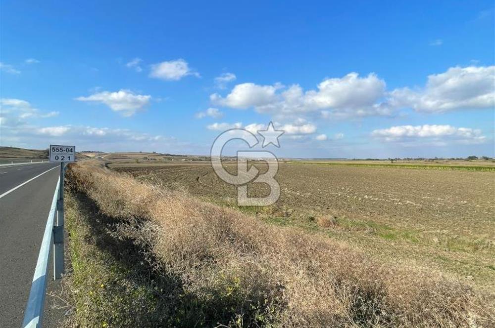 Tekirdağ Hayrabolu 43 Dönüm Arsa