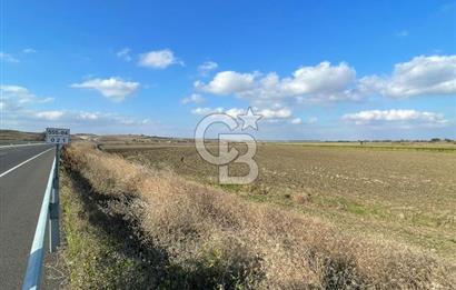 Tekirdağ Hayrabolu 43 Dönüm Arsa